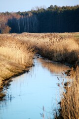 rzeka © Damian