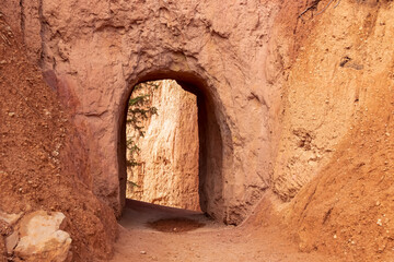 Queens Garden hiking trail going through a tunnel made of massive steep hoodoo sandstone rock formations in Bryce Canyon National Park, Utah, USA. Barren landscape in natural amphitheatre in summer