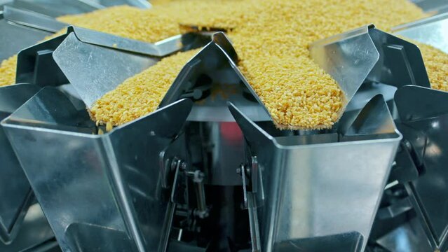 Fried Mung dal or yellow lentils industrial snack food making