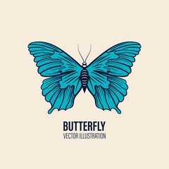 Vector Hand Drawn Butterfly Icon Closeup Isolated on White Background. Butterfly Design Template, Vintage Vector Illustration of Butterfly with Outline for Logo, Tattoo Design