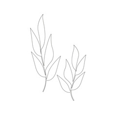 Outline leaves isolated on white background. Vector illustration. Line brunches for décor. Design floral element. Two branches with leaves on a white background black outline.