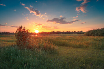 A beautiful may sunset landscape. Spring meadow under the beautiful sky with clouds.