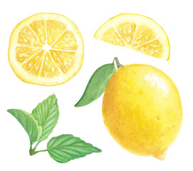 Lemon set of watercolor elements on transparent background in bright yellow and green colors, can be used for tea packaging or kitchen accessories decorations 