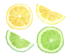 set of yellow lemon and green lime, bergamot slices on a transparent background, hand made watercolor drawing