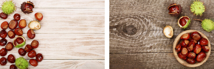 chestnut on white wooden background with copy space for your text. Top view