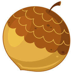 Forest Nut Cartoon Illustration