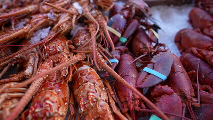 Sea food for sale. Lobsters and shrimps on display at food market