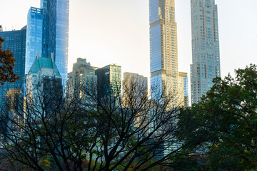 NEW YORK, NEW YORK – USA NOVEMBER 10: Midtown Manhattan skyscraper stands beyond Central Park in the dusk on November 10, 2022 in New York City.