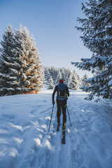 Mountaineer backcountry ski walking ski alpinist in the mountains. Ski touring in alpine landscape with snowy trees. Adventure winter sport. Kralova hola, Slovakia © Zedspider