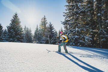 Mountaineer backcountry ski walking ski alpinist in the mountains. Ski touring in alpine landscape with snowy trees. Adventure winter sport. Kralova hola, Slovakia © Zedspider