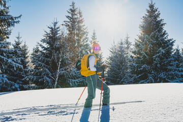 Mountaineer backcountry ski walking ski alpinist in the mountains. Ski touring in alpine landscape with snowy trees. Adventure winter sport. Kralova hola, Slovakia © Zedspider