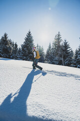 Mountaineer backcountry ski walking ski alpinist in the mountains. Ski touring in alpine landscape with snowy trees. Adventure winter sport. Kralova hola, Slovakia © Zedspider