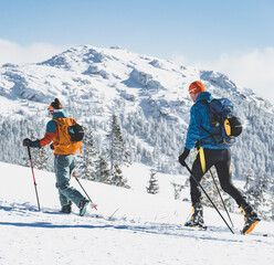 Mountaineer backcountry ski walking ski alpinist in the mountains. Ski touring in alpine landscape with snowy trees. Adventure winter sport. Kralova hola, Slovakia © Zedspider