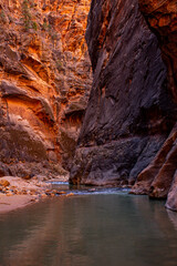 Hiking in the Narrows in Zion National Park