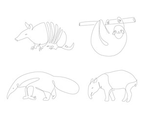 One line animals from South America. Unusual spicies line art. Animal and linear Vektor Grafik. Tapir and ant-bear
