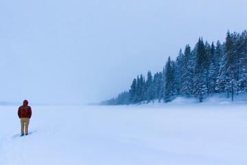 Man standing in snow-covered frozen river lined with coniferous trees in lapland