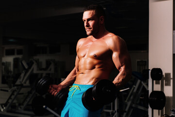 Sport man man doing biceps lifting in a gym. Portrait of athletic man with dumbbells. Shirtless man...