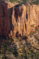 The Rugged Landscape of Navajo National Monument