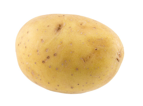 isolated close-up photo potato
