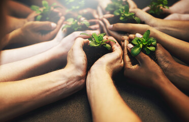 Go green and keep the earth clean. Cropped shot of a group of people holding plants growing out of soil.