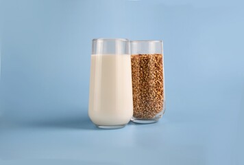 A glass of alternative milk and a glass of buckwheat. The concept of vegetable milk and veganism. Buckwheat milk.Glass on blue.