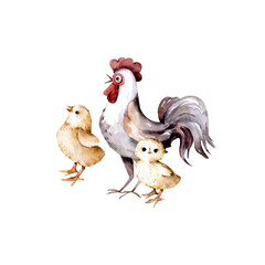 Rooster with chicks watercolor illustration. Farm animals and birds