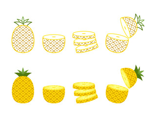 Pineapple collections set in flat style