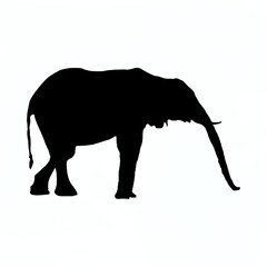 Fototapeta premium elephant logo silhouette vector
