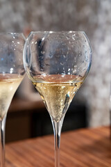 Tasting of cold brut Champagne sparkling wine in cellars of gran cru wine house in near Reims, wine tour in Champagne, France