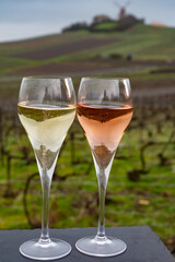 Tasting of brut and rose champagne sparkling wine outdoor with view on pinot noir gran cru vineyards of famous champagne houses in Montagne de Reims near Verzenay, Champagne, France