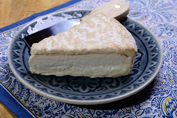 Piece of french soft-ripened white mold cow milk cheese brie produced in Seine-et-Marne region, France