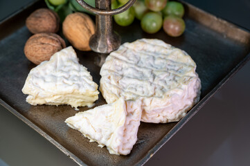 French cheeses collection, Saint-Félicien and saint-marcellin cow's milk cheese from Rhône-Alpes region of France