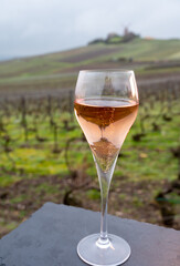 Tasting of brut champagne sparkling wine outdoor with view on pinot noir gran cru vineyards of famous champagne houses in Montagne de Reims near Verzenay, Champagne, France