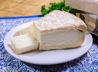 Piece of french soft-ripened white mold cow milk cheese brie produced in Seine-et-Marne region, France