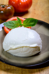 White ball of Italian soft cheese Mozzarella di Bufala Campana served with fresh green basil and red tomato