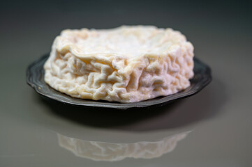 French cheeses collection, Saint-Marcellin cow's milk cheese from Rhône-Alpes region of France