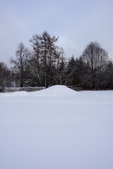 Snowy landscape during winter time with ground covered with white fresh snow. Trees on the back. Tallinn, Estonia, Europe. February 2023