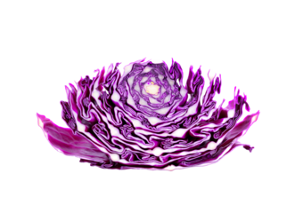 Purple cabbage slice isolated on trasparent png