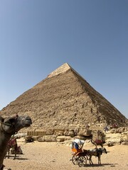 the pyramids