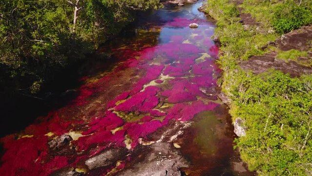 Aerial wide shot of moving water over colorful river in the interior of the Colombian jungle of the Serrania de la Macarena