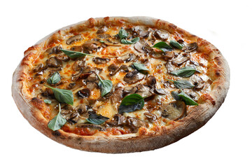 mushroom pizza