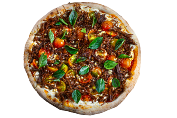 Sun dried meat pizza, beef jerky