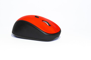 Mouse seen from one side