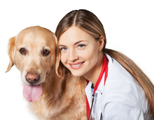 Female young veterinarian with a dog on a light background