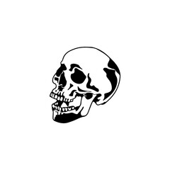 skull illustration vector with concept