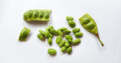 Raw of petai or pete (Parkia speciosa). Usually eaten raw and cooked, popular with name stink bean...