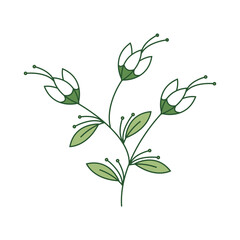 Fototapeta premium Minimal Floral Elements with Filled Outline Style