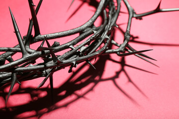 Crown of thorns on red background