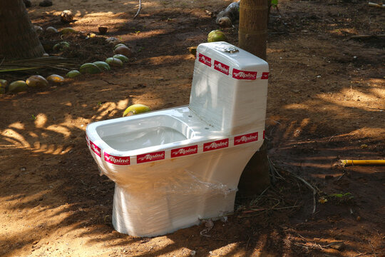 A toilet bowl under a palm tree in Gokarna, India on January 13, 2023.