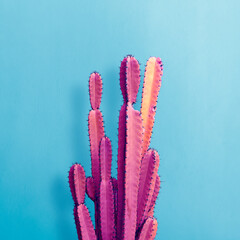Trendy neon cactus against an blue wall. Minimal creative style or fashion concept.